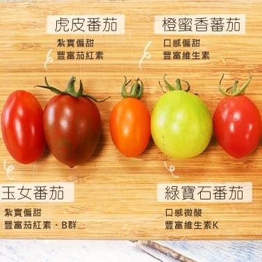 【探索多姿多彩的小蕃茄世界：6款美味佳餚】