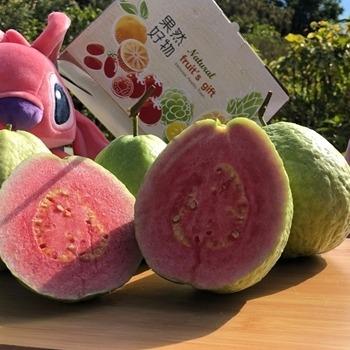 主要圖片