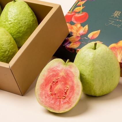 【紅鑽石芭樂:台灣特色水果的珍寶】 Logo圖片