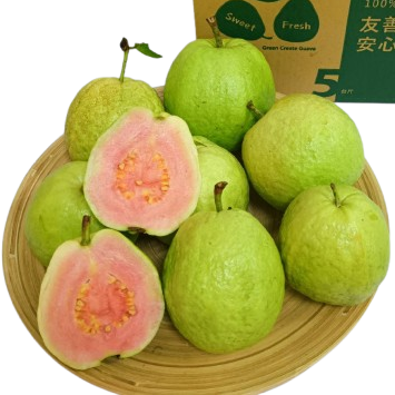 【紅鑽石芭樂：台灣特色水果的珍寶】